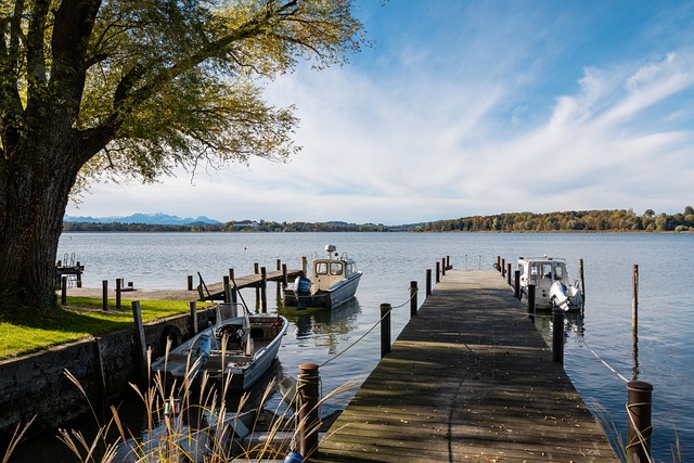 类似案例并 类似案例并