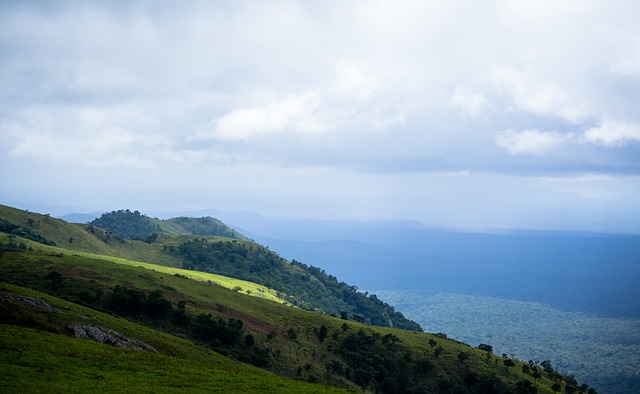 近年来的重 近年来的重